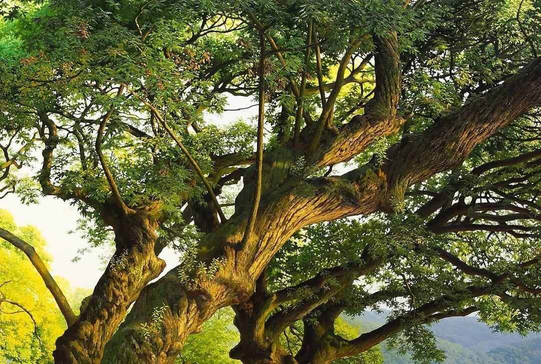 像相机拍出来的画，你见过吗？重庆美术艺考集训画室带你了解超写实绘画！图十四