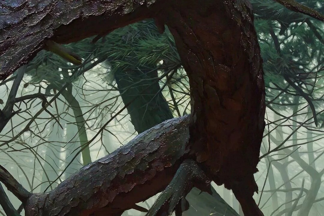 像相机拍出来的画，你见过吗？重庆美术艺考集训画室带你了解超写实绘画！图十八