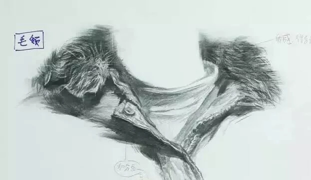 重庆美术培训画室教你衣领怎么画？不同材质衣领刻画方法都有！