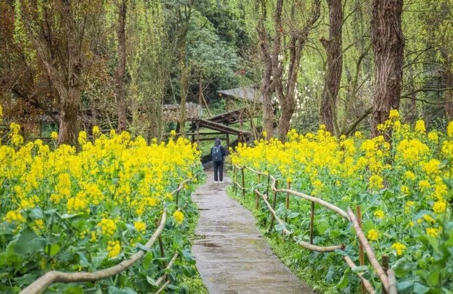 在川美上学是一种什么体验？重庆美术集训画室带你来涨姿势了！