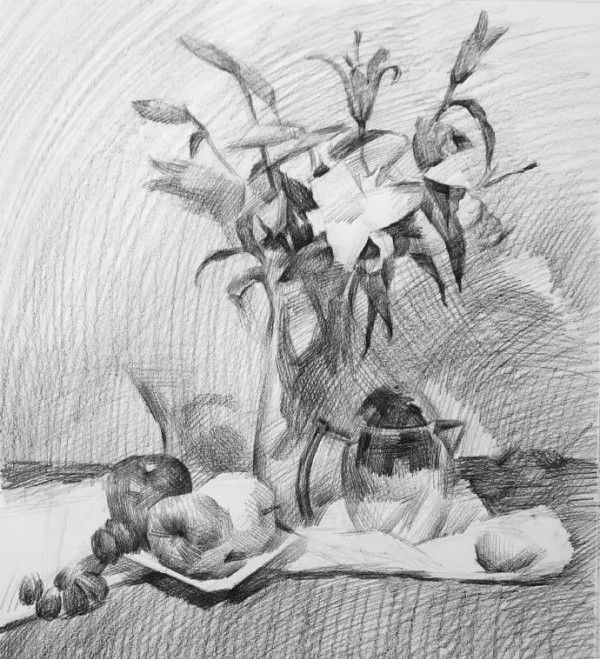 不知道花卉素描怎么画？来看看别人是怎么画的