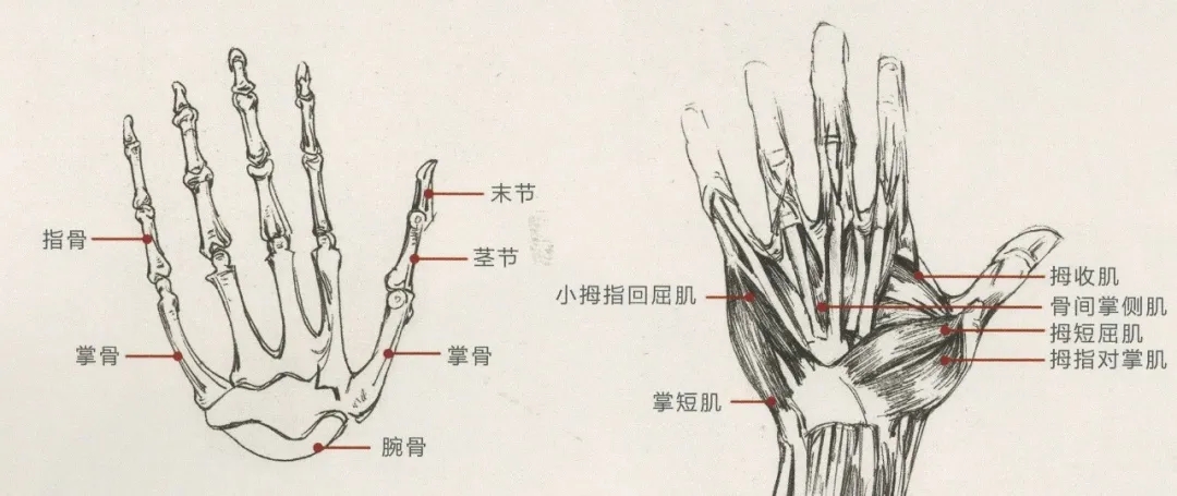 重庆美术培训画室：画人难画手，画好手速写事半功倍！