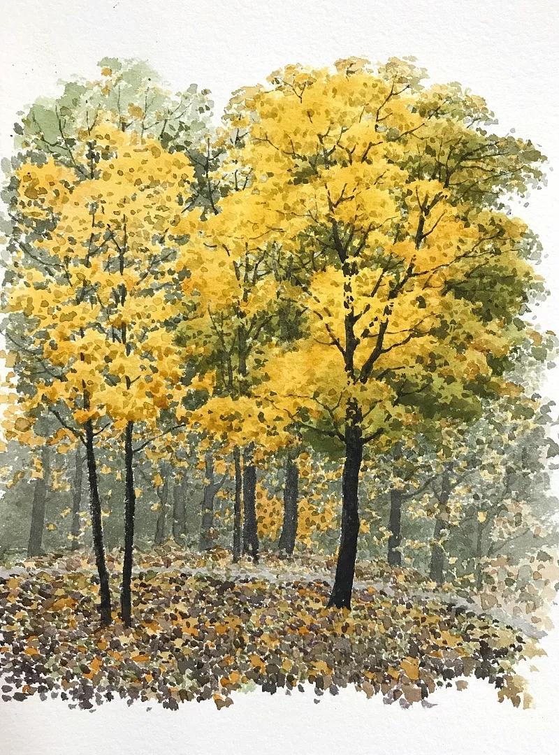 重庆美术培训画室为你送上八种水彩画的入门技巧！