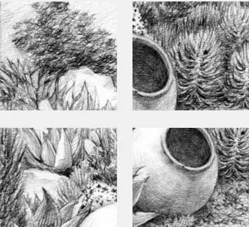 素描场景实操教程！花园一角怎么画？重庆画室学子看过来！图十六