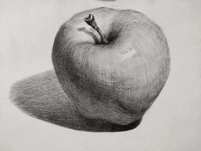 盘点那些让美术生十分痛恨的静物，重庆画室美术生都喜欢哪一个？