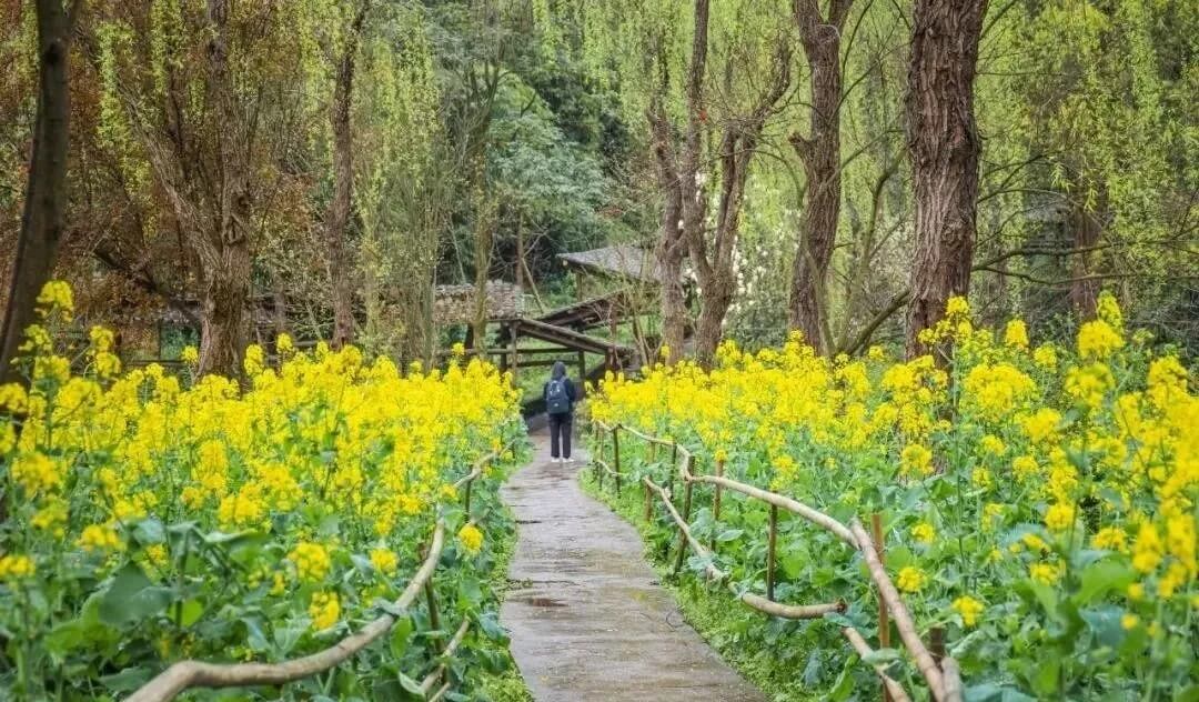 重庆画室培训助你考上川美！体验川美校园环境，提前爱上她！