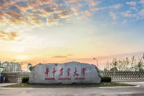 华中农业大学2022年艺术类专业招生简章已发布！