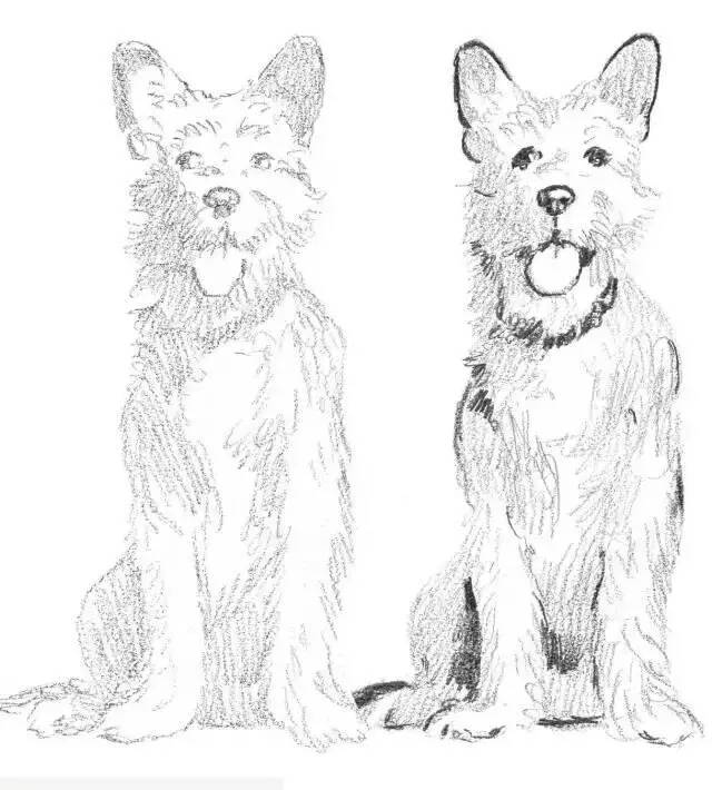 重庆十大画室：适合零基础学习的素描入门小教程！