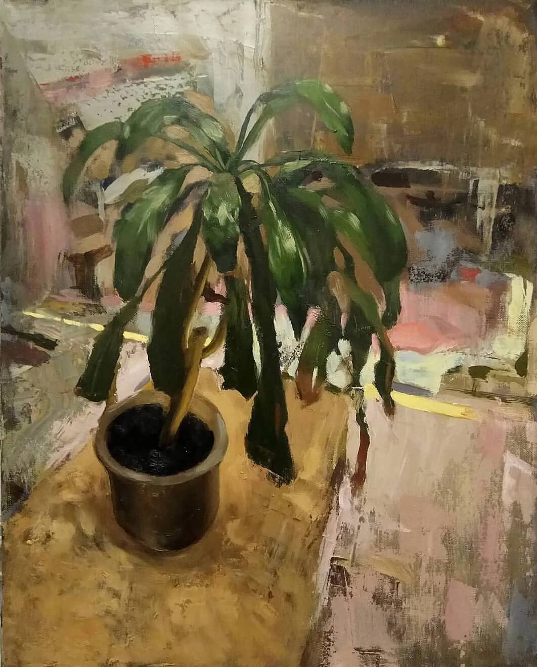 重庆美术集训画室带你来看，基础色彩就应该是这样！