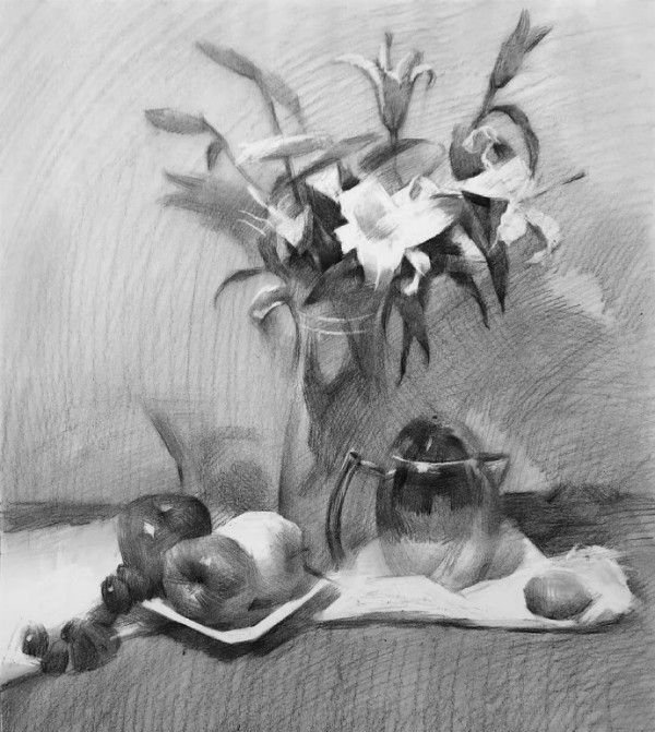 不知道花卉素描怎么画？来看看别人是怎么画的