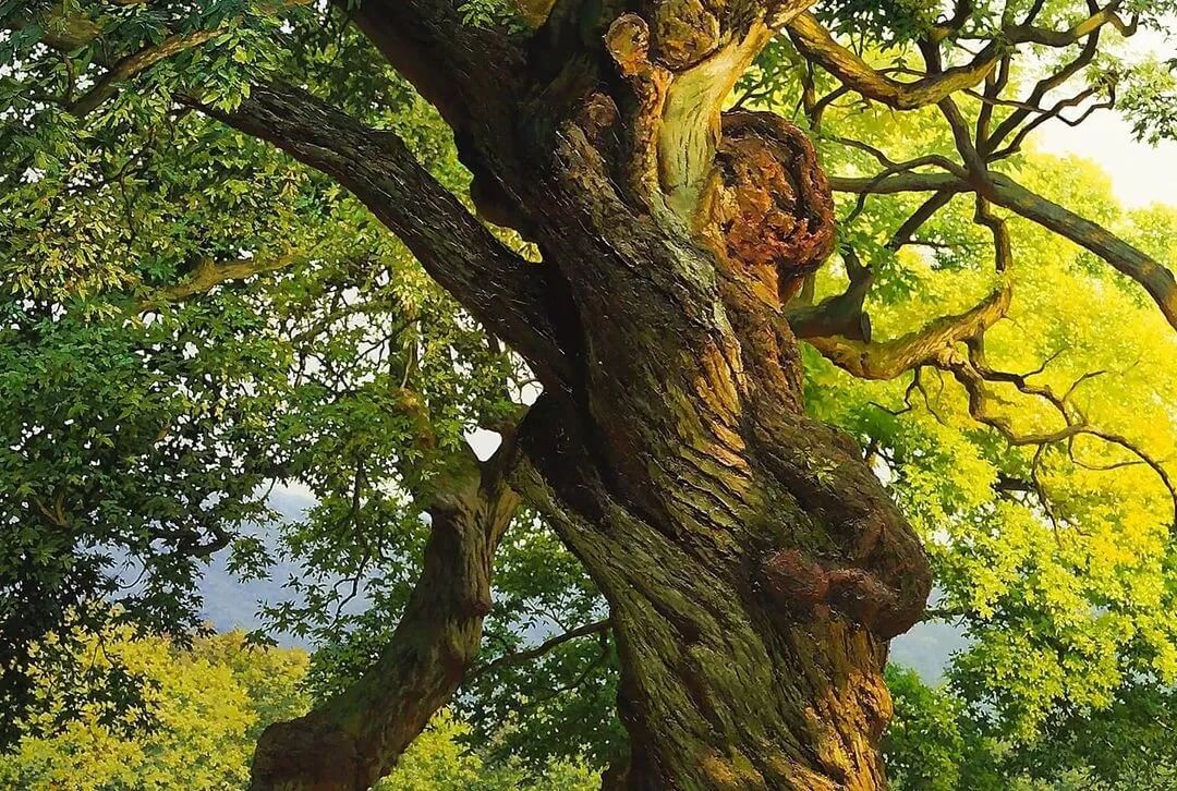 像相机拍出来的画，你见过吗？重庆美术艺考集训画室带你了解超写实绘画！图十三