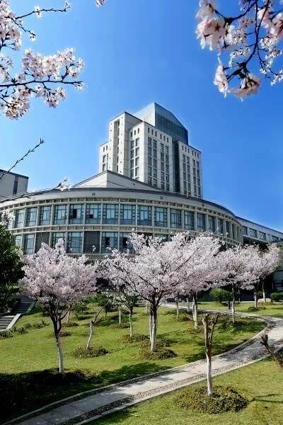 每年都在变录取方式的美术院校，不了解变化小心滑档！