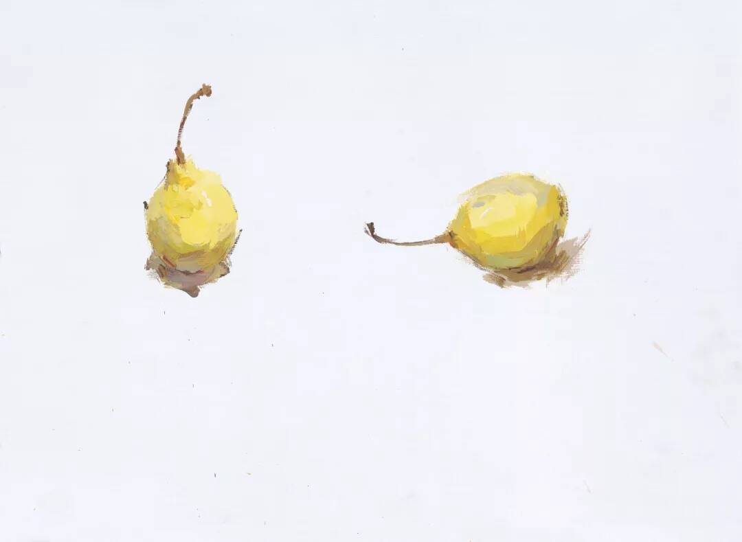 重庆美术培训画室为你整理了联考常见的色彩静物单体详解！