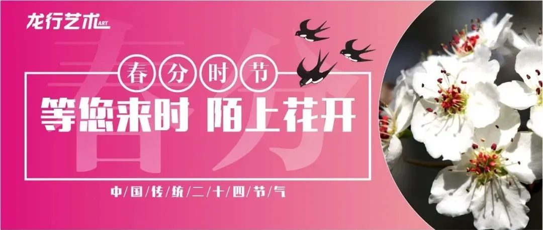 春分如约而至，愿大家都能考上心仪的美院!