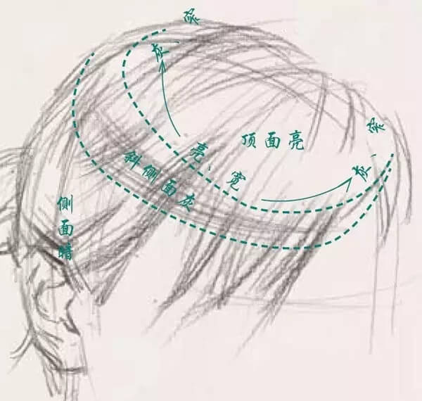 素描头像的发丝教学！跟着重庆美术集训画室老师看看吧，图一