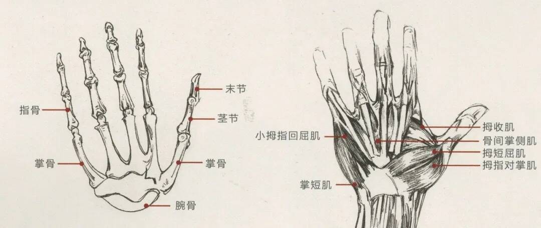 重庆美术培训画室：画人难画手，画好手速写事半功倍！