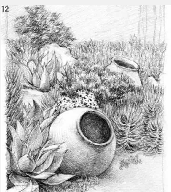 素描场景实操教程！花园一角怎么画？重庆画室学子看过来！