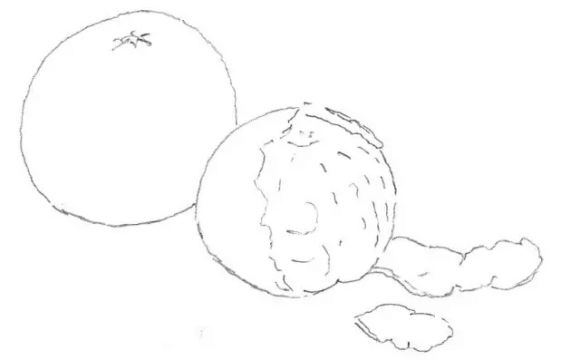 美术初学者超实用的水果静物素描技巧！重庆美术生不可错过！图三