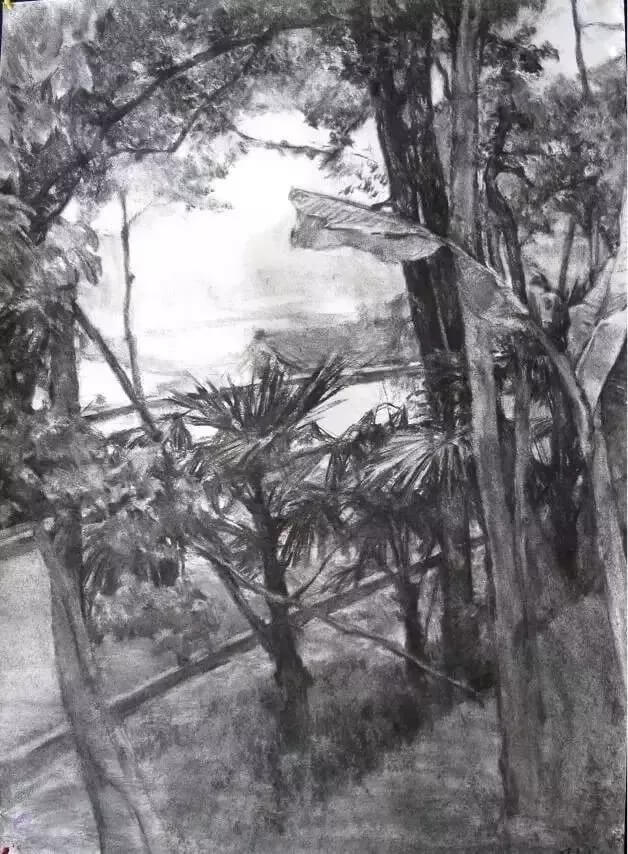 重庆美术高考培训学校收集分享|九大美术学院素描作品，你觉得哪家美院画的好！图一