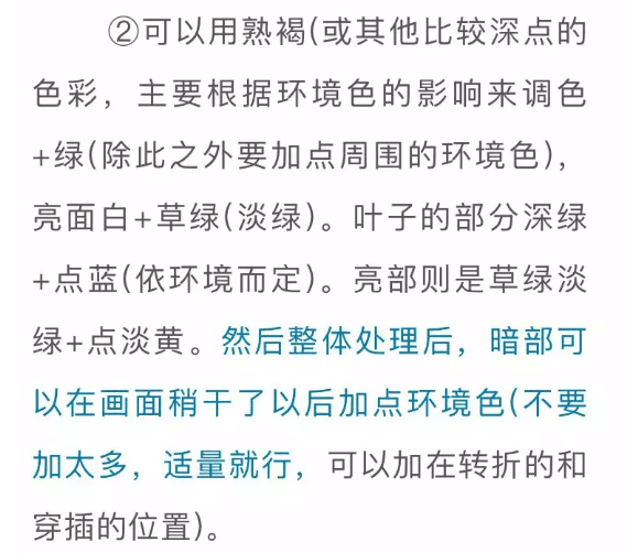 色彩静物中的蔬菜类怎么画,看重庆美术培训学校老师来教你！图五